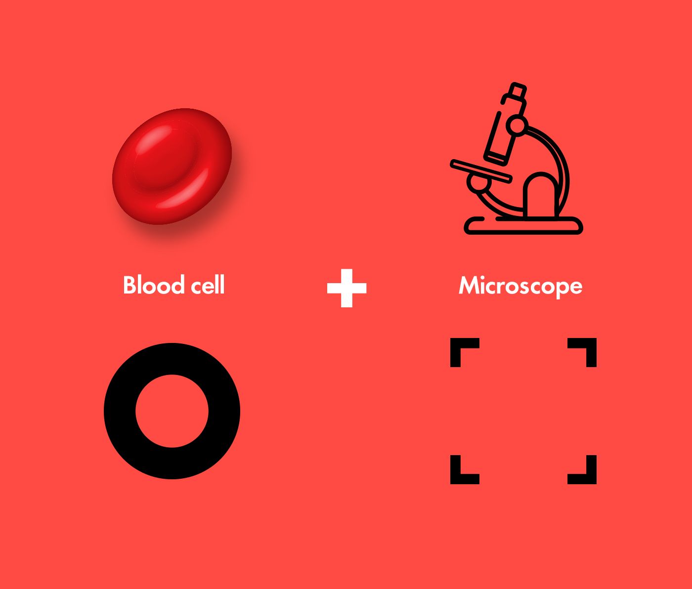 RayBlood - Health App for Irradiated Blood Patients
